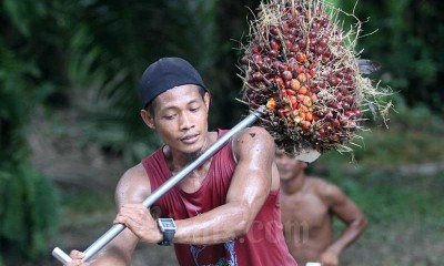 Volume Ekspor Minyak Sawit Mentah Berpotensi Terkoreksi Hingga Akhir Tahun