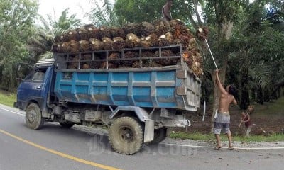 Volume Ekspor Minyak Sawit Mentah Berpotensi Terkoreksi Hingga Akhir Tahun