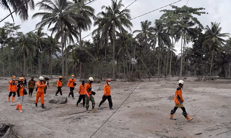 Tim SAR Gabungan Terus Lakukan Pencarian Korban Erupsi Gunung Semeru