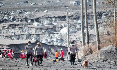 Tim SAR Gabungan Masih Mencari Korban Yang Tertimbun Material Awan Panas Gunung Semeru
