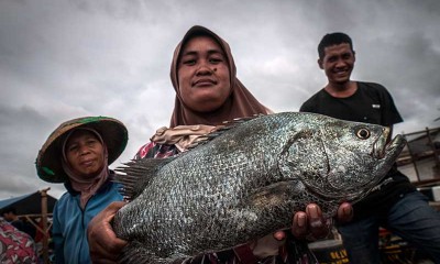 KKP Targetkan Tingkat Konsumsi Ikan Nasional Sebesar 62,05 Kilogram Per Kapita Pada 2024