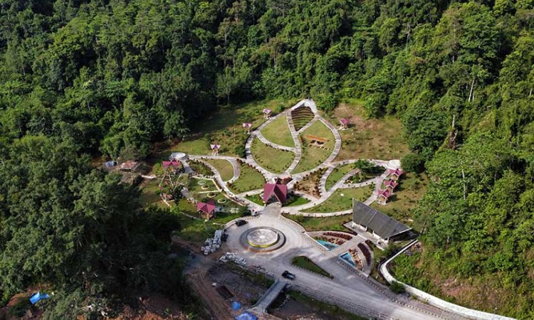 Kebun Raya Kendari Akan Dijadikan Tempat Penelitian dan Wisata Edukasi
