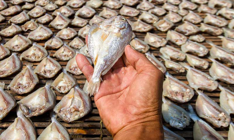 Warga Karawang Produksi Ikan Asin Untuk Diekspor