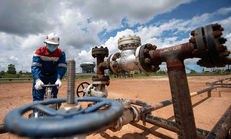 Pertamina Targetkan Produksi Minyak di Blok Rokan Sebanyak 300.000 Barel Per Hari