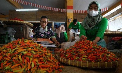 Minim Pasokan, Harga Cabai Rawit Naik Hingga Rp80.000 Perkilogram