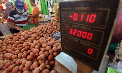 Harga Telur di Sejumlah Wilayah Meroket Jelang Tahun Baru