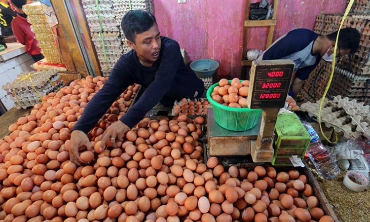 Harga Telur di Sejumlah Wilayah Meroket Jelang Tahun Baru