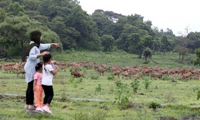 Kembali Dibuka, Taman Nasional Baluran Ramai Dikunjungi Wisatawan