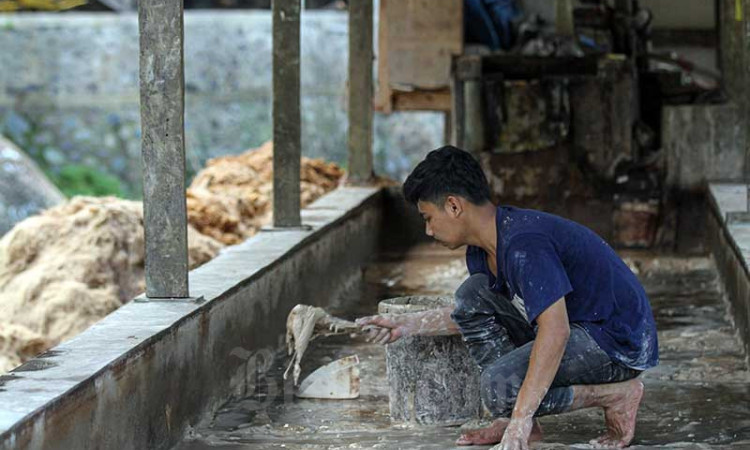 Sentra Pengolahan Sagu di Bogor Mempu Membuat Tepung Sagu Sebanyak 1 Kuintal Per Hari