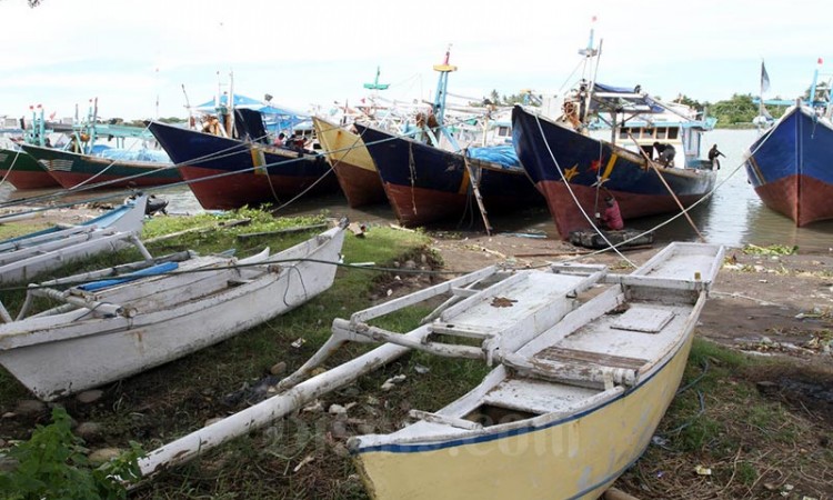 KKP Targetkan Nilai Ekspor Hasil Perikanan Mencapai US$7,12 Miliar Pada 2022