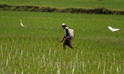 BPS Catat Kenaikan Nilai Tukar Petani di Sulawesi Selatan Sebesar 0,50 Persen Pada Desember 2021