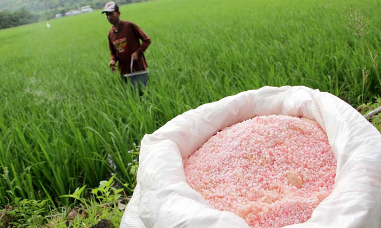 Kementan Tetapkan Alokasi Pupuk Bersubsidi 2022 Secara Nasional Sebesar 9,11 Juta Ton