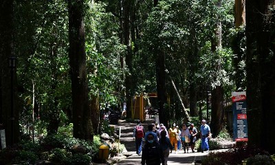 Kasawan Wisata Mojosemi Forest Park Magetan Jawa Timur Mulai Banyak Dikunjungi Wisatawan