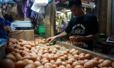 Kemendag Pastikan Harga Telur Ayam Ras Kembali Normal