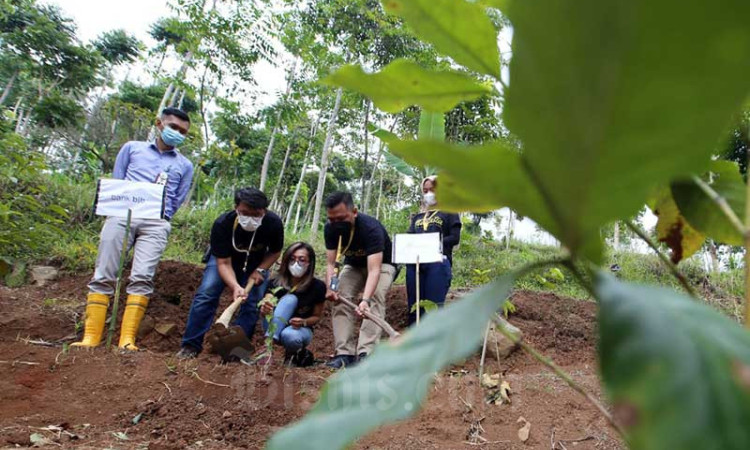 Bank BJB Lakukan Penanaman Bibit Pohon Kopi Di Kawasan Perbukitan Kaki Gunung Manglayang