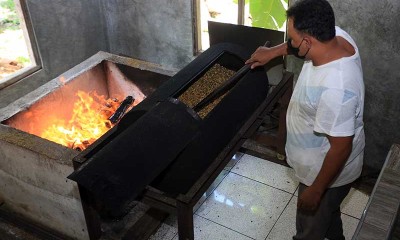 Tempat Produksi Kopi Secara Tradisional di Aceh Mampu Hasilkan 100 Kilogram Bubuk Kopi Per Hari