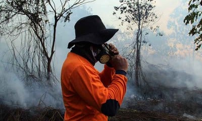 Kebakaran Hutan dan Lahan Gambut Terjadi di Kalimantan Barat