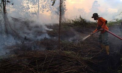 Kebakaran Hutan dan Lahan Gambut Terjadi di Kalimantan Barat