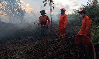 Kebakaran Hutan dan Lahan Gambut Terjadi di Kalimantan Barat