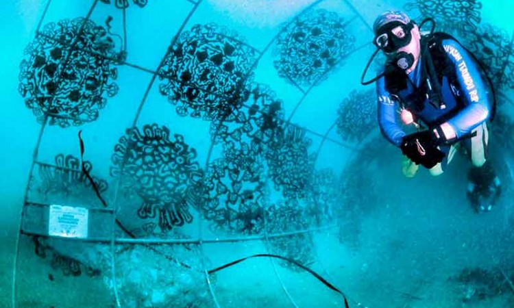 Keindahan Alam Bawah Laut di Pantai Bangsring Banyuwangi 