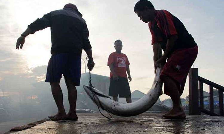 Target Konsumsi Ikan Nasional Pada 2022 Sebanyak 59,33 Kilogram Per Kapita