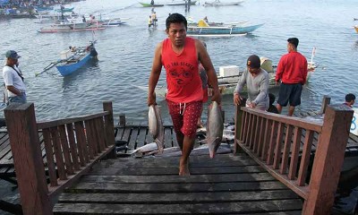 Target Konsumsi Ikan Nasional Pada 2022 Sebanyak 59,33 Kilogram Per Kapita