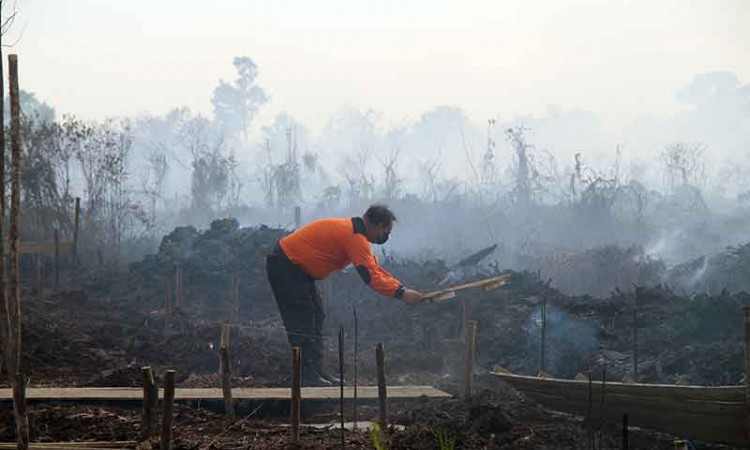 Kebakaran Hutan dan Lahan Gambut Terjadi di Kalimantan Barat