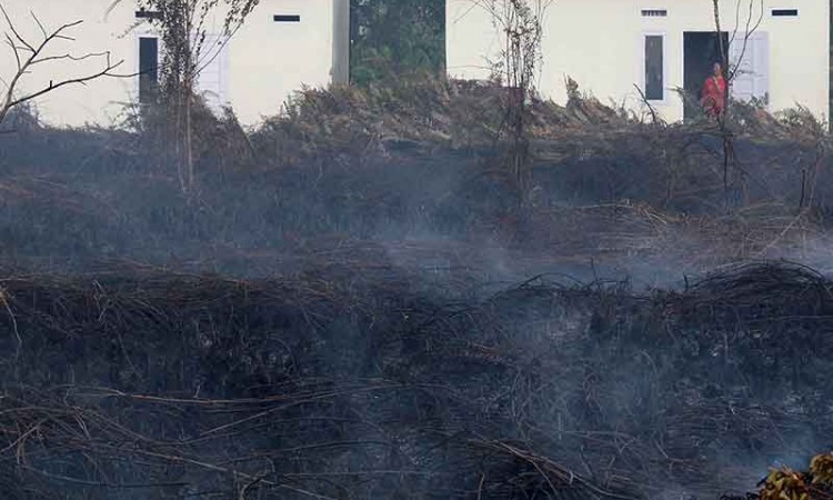 Kebakaran Hutan dan Lahan Gambut Terjadi di Kalimantan Barat