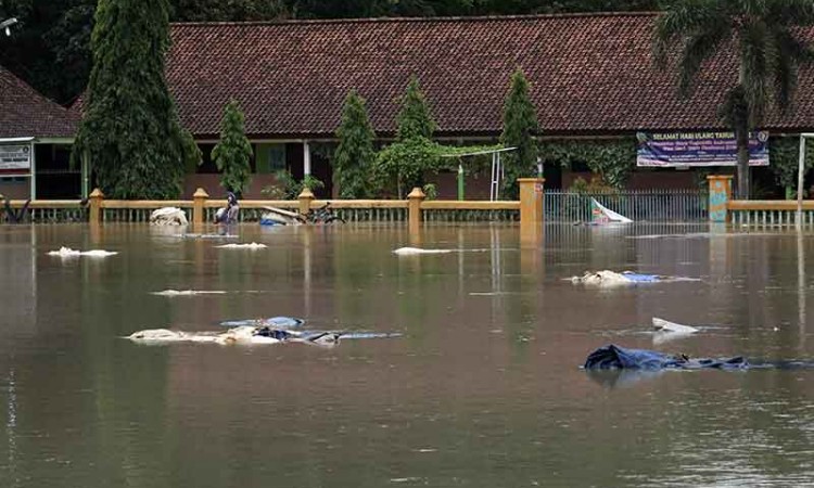 Ratusan Hektare Padi di Banyumas Gagal Panen Akibat Terendam Banjir