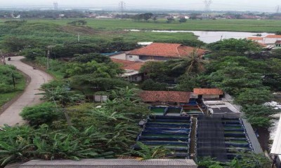  Petani Milenial Ikan Lele 