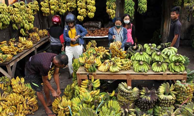 Penjualan Pisang di Makassar Meningkat Dua Kali Lipat Saat Ramadan