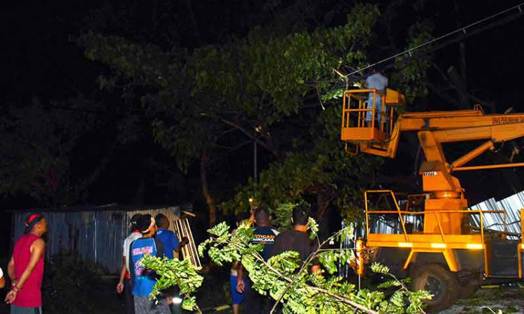 Bencana Angin Kencang di Madiun Robohkan Pohon dan Tiang Listrik