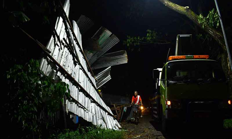 Bencana Angin Kencang di Madiun Robohkan Pohon dan Tiang Listrik