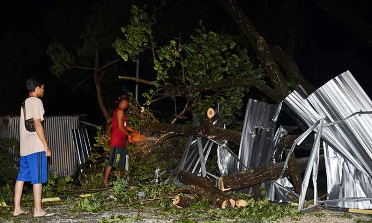 Bencana Angin Kencang di Madiun Robohkan Pohon dan Tiang Listrik
