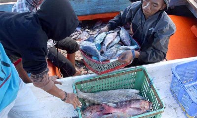 KKP Jamin Stok Ikan Pada Bulan Ramadan dan Idul Fitri Mencukupi
