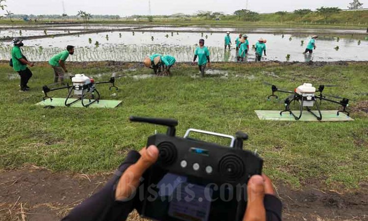 PT Maxxi Tani Teknologi Melakukan Penanaman Padi Menggunakan Maxxi Rice Transplanter