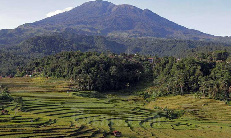 Terasering Ciboer Pass di Majalengka Menjadi Daya Tarik Wisatawan