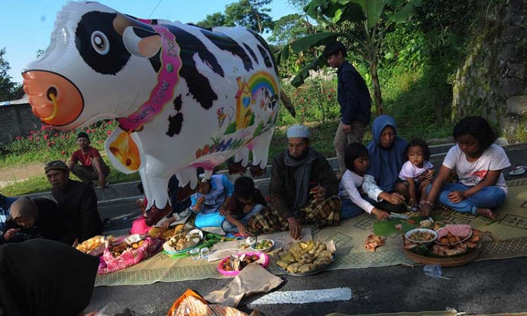 Tradisi Lebaran Sapi di Lereng Gunung Merapi