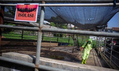 Pemkot Bandung Antisipasi Penyebaran Wabah PMK di Rumah Pemotongan Hewan