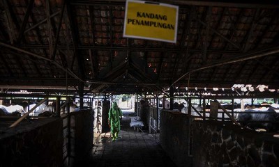 Pemkot Bandung Antisipasi Penyebaran Wabah PMK di Rumah Pemotongan Hewan