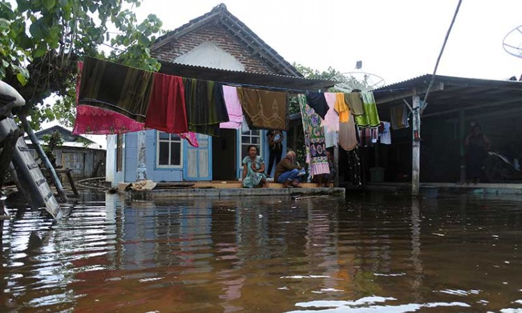 Banjir Rob Setinggi 90 Cm Terjang Situbondo Jawa Timur