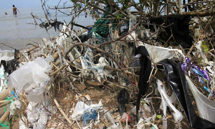 Sampah Rumah Tangga Cemari Pesisir Pantai di Desa Kwanyar Barat Jawa Timur