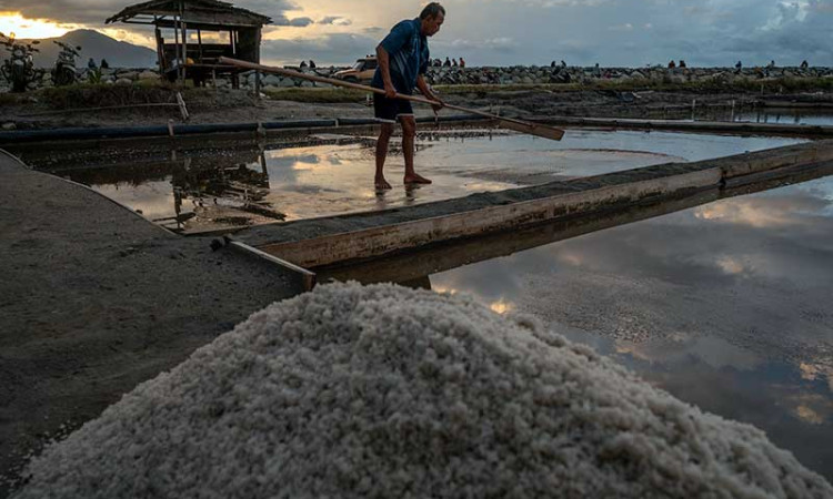 Produksi Garam Menurun Hingga 20 Persen Karena Faktor Anomali Cuaca