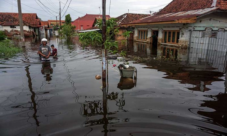 Banjir Rob Rendam Sejumlah Wilayah di Kota Pekalongan