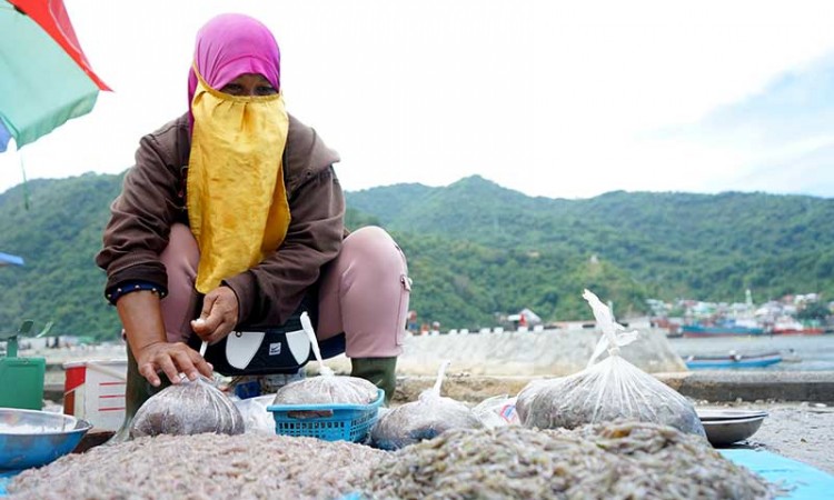 Nelayan di Gorontalo Menangkap Ikan Nike Musiman