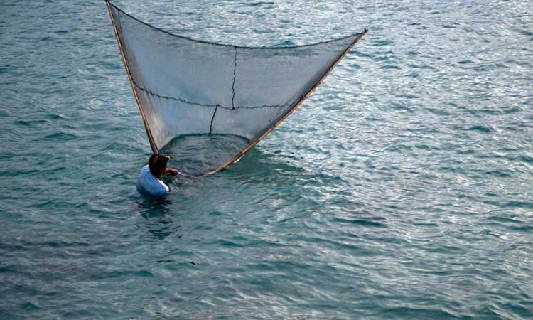 Musim Udang Tiba, Nelayan di Palu Kembali Melaut