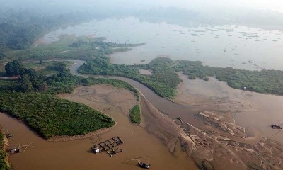 Danau Teluk Kenali di Jambi Mulai Alami Pendangkalan