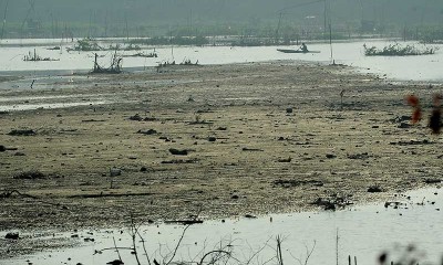 Danau Teluk Kenali di Jambi Mulai Alami Pendangkalan