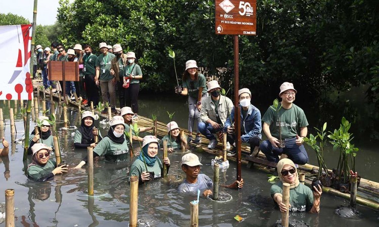 Jayamic by SCG menanam 1.972 Mangrove di Pesisir Jakarta Utara 