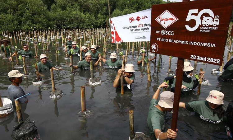 Jayamix by SCG menanam 1.972 Mangrove di Pesisir Jakarta Utara 
